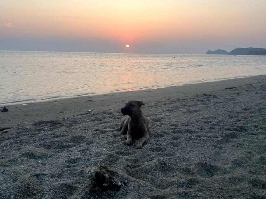 Sunset Serenity Cove Ко Панган Екстериор снимка