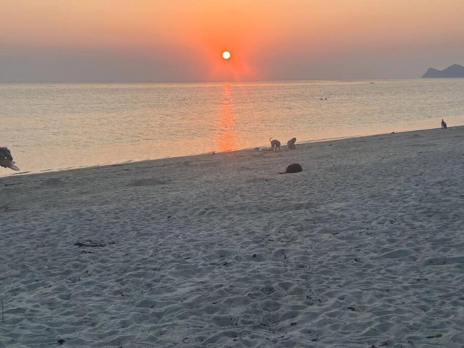 Sunset Serenity Cove Ко Панган Екстериор снимка